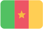 .com.cm (Cameroen)